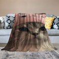 thumbnail image 2 of Orinice Cute Cat Blanket Soft Flannel Soft Blanket Gifts 3D Home Decoration for Bed Couch Sofa Chair Bed Blanket  50x60in, 2 of 6
