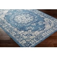thumbnail image 5 of Ustad Aqua 5'3" x 7'3" Traditional Rectangle Area Rug, 5 of 5