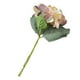 thumbnail image 2 of Bewildely Flores artificiales de 35cm, flor de PU, ramo de tallo largo único, hermosa flor de simulación para la decoración de la boda del hogar Flores artificiales 8 Bewildely HA6562-08B, 2 of 6