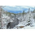 thumbnail image 2 of Galloimages Online 18x13 Gold Ornate Wood Framed with Double Matting Museum Art Print Titled - Yellowstone Winter In Fall, 2 of 4