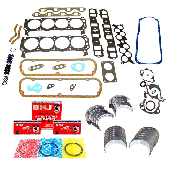 DNJ RRK4189A Re-Ring Kits Set Fits Cars & Trucks 94 Ford 5.8L OHV