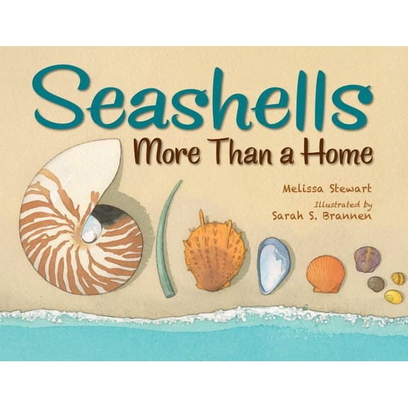 Seashells: More Than a Home