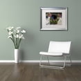 thumbnail image 3 of Trademark Fine Art "Window Dressing" Canvas Art by Michael Blanchette Photography White Matte, Silver Frame, 3 of 4