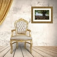 thumbnail image 3 of Orlando 24x17 Gold Ornate Wood Framed with Double Matting Museum Art Print Titled - Shaded Tree, 3 of 4