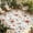 Brown, variant on Brown Red Flowers Outdoor Rug for Patio/Deck/Porch, Non-Slip Large Area Rug 5 x 7 Ft, Rustic Botanical Floral Leaves Plants Indoor Outdoor Rugs Washable Area Rugs, Camping Rug Carpet Runner