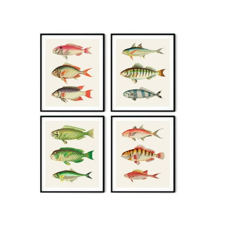 UNFFRAMED Vintage Fish Posterset Nautical Coastal Wall Art Set 4 Prints 8x12