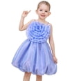 thumbnail image 2 of Girls Dress Rose Flower Ruffle Spaghetti Strap Princess Party 5 Years, 2 of 6