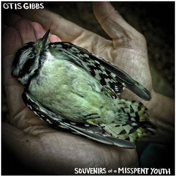 Otis Gibbs - Souvenirs of a Misspent Youth - Rock - CD