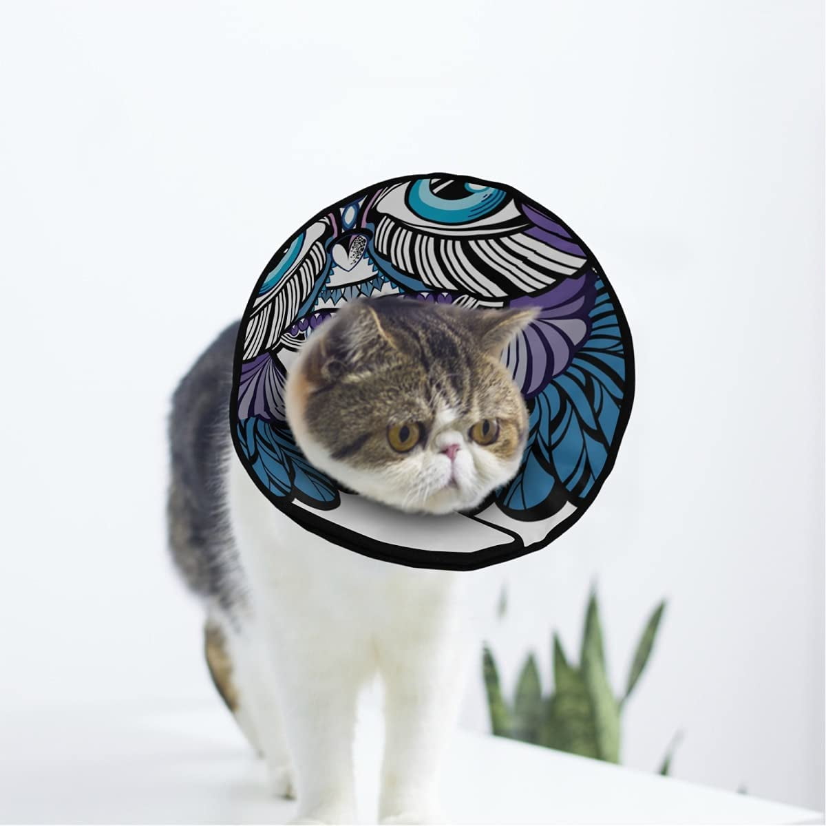 Diy cat dog surgery collar 2025