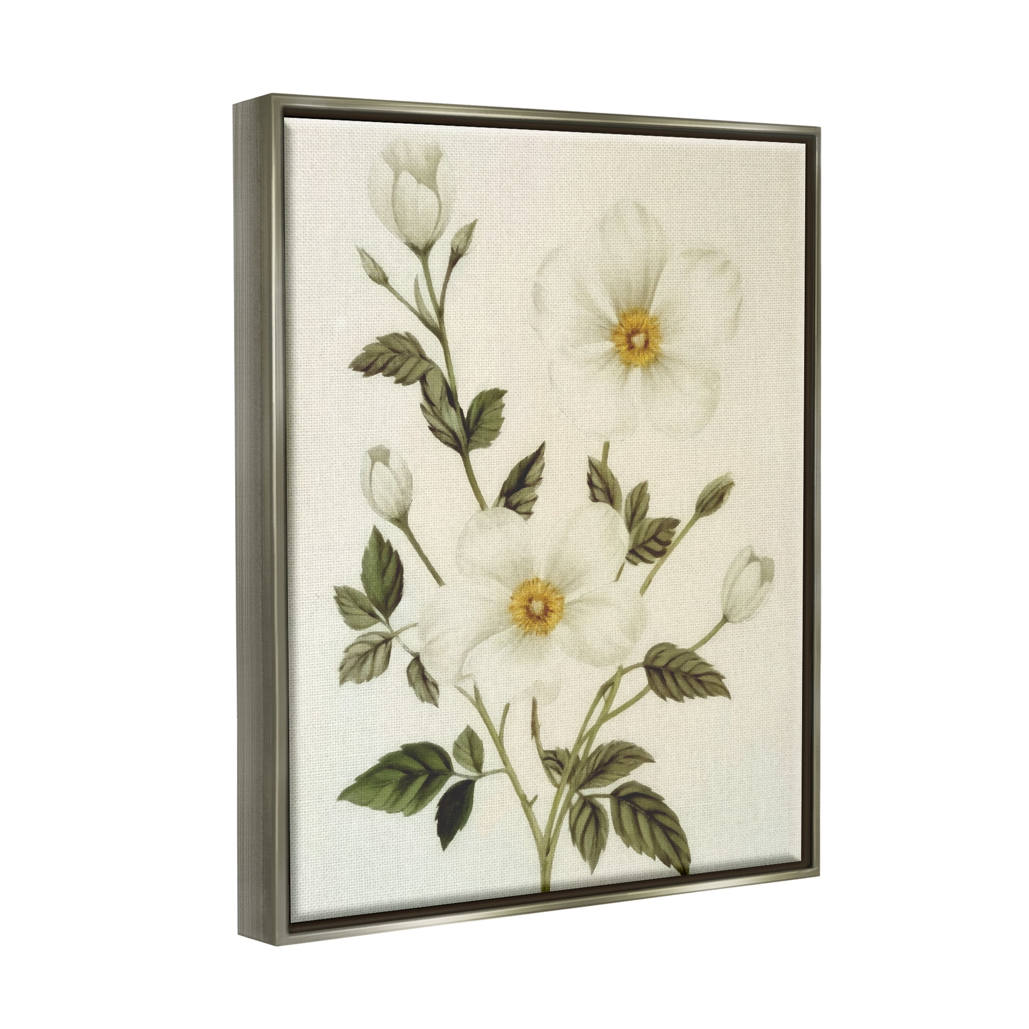 Stupell Industries Vintage Apple Blossoms Botanical & Floral Painting Gray Floater Framed Canvas Art Print Wall Art, 25 x 31