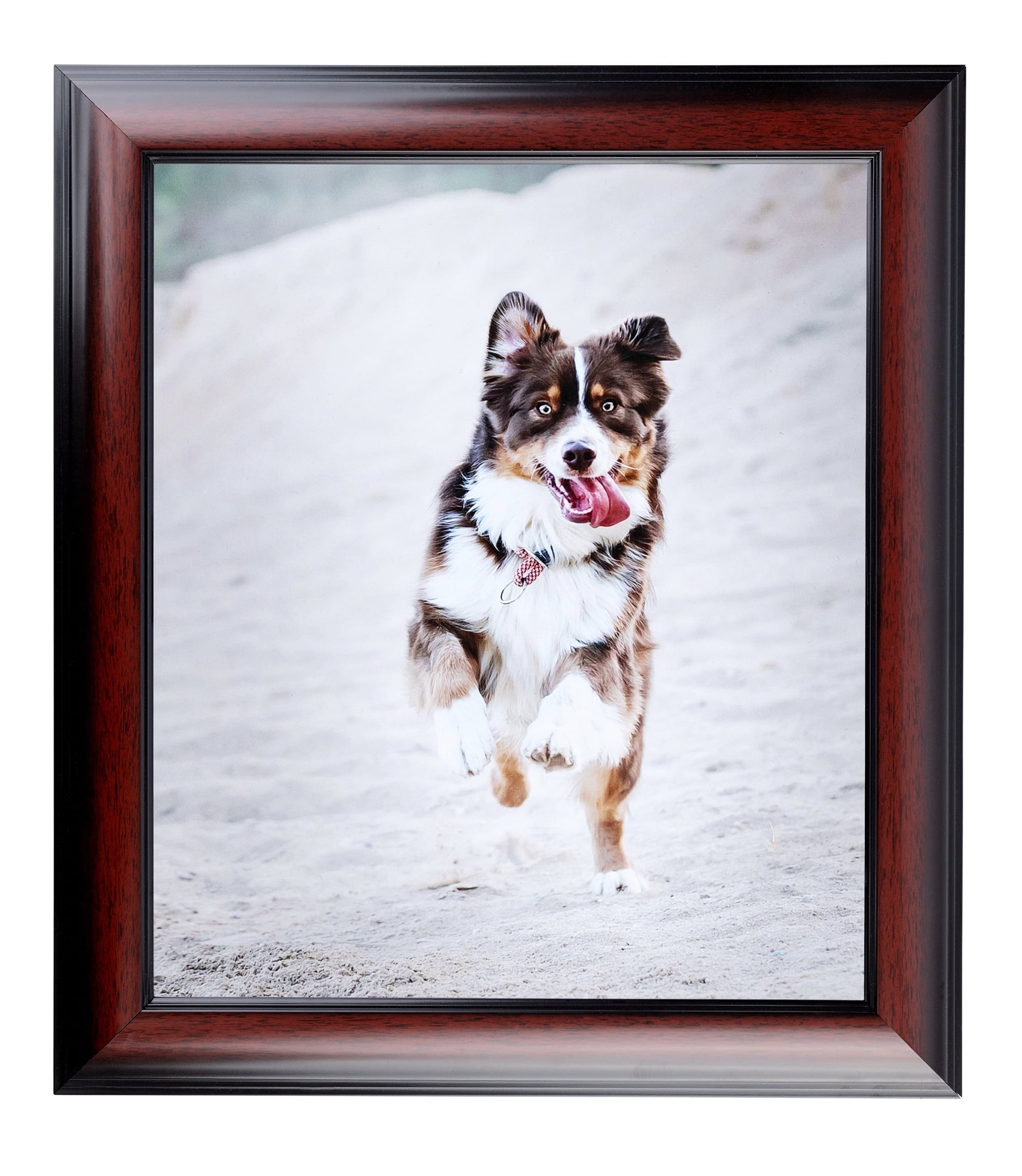 ArtToFrames 16" x 20" Honors Mahogany with Black Picture Frame, 16x20 inch Brown Wood Poster Frame (WOM-5154)