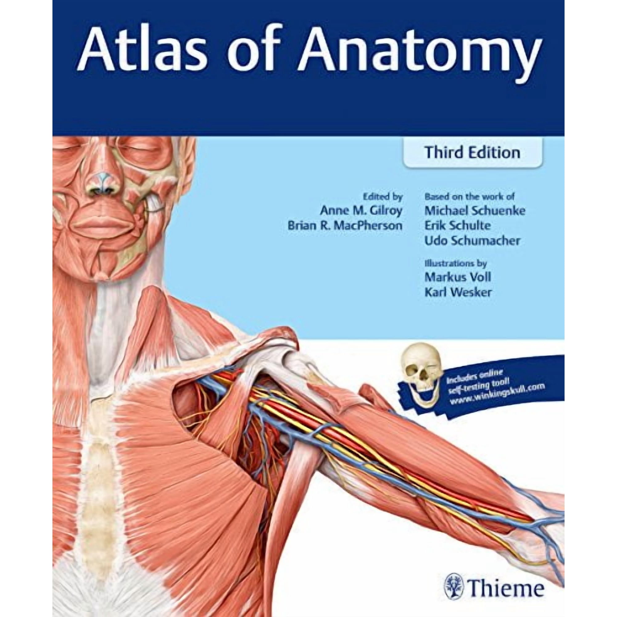 Atlas of Anatomy (Paperback)