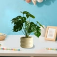 thumbnail image 6 of Moocorvic Faux Potted Plants Mini Artificial Greenery for Office Desk, Living Room Indoor Table Bathroom Decor, 6 of 8