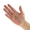 thumbnail image 5 of Deva Nutrition - Vegan Multivitamin & Mineral Supplement - 90 Tablets, 5 of 5