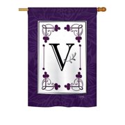 Breeze Decor - Classic N Initial Interests - Everyday Simply Beauty Impressions Decorative Vertical Garden Flag 13 x 18.5 Printed In USA