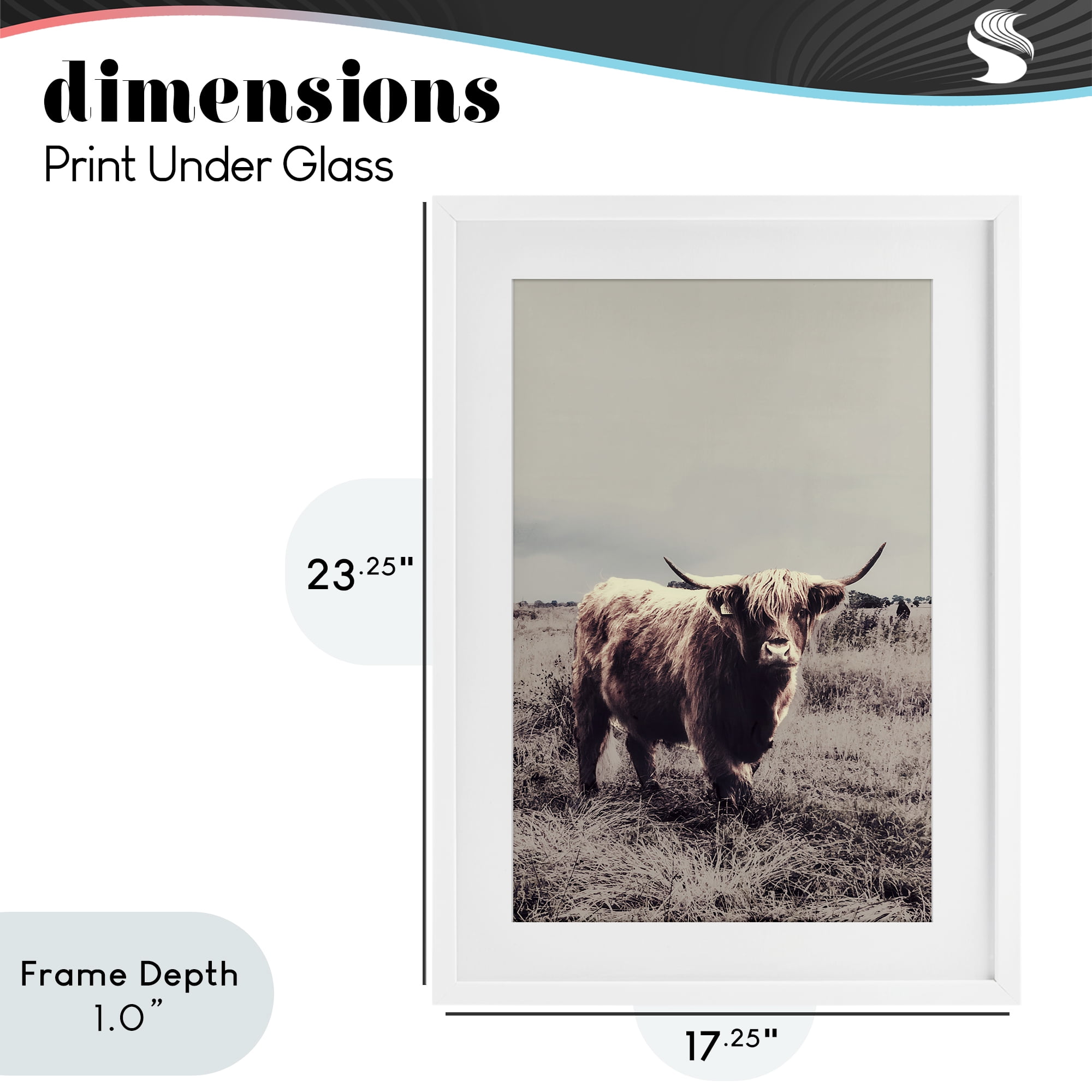 Stupell Industries Horned Cattle in Pasture White Framed Print Under Glass, design by SD Graphics Studio