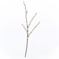 thumbnail image 1 of Cream Ilex Berry Branch Pick Faux Plants & Trees, 1 of 1