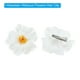 thumbnail image 3 of Uxcell Flores de Hibisco Hawaianas Flores Artificiales Clip para el Cabello DIY Flor de Hibisco de Espuma Blanca Paquete de 10, 3 of 6