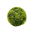thumbnail image 2 of Bergamo Art Preserved Cockscomb Topiary Balls Bowl Vase  Filler Decorative Orb, 2 of 4