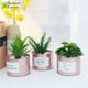 thumbnail image 2 of Plantas suculentas artificiales: miniplantas suculentas artificiales mejoradas en macetas para la decoración de escritorios de la oficina en casa, pequeñas suculentas artificiales variadas en macetas, 2 of 5