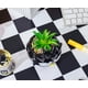 thumbnail image 5 of Mini maceta Sanrio Badtz-Maru de cerámica con plantas suculentas artificiales, 5 of 9
