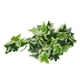 thumbnail image 2 of Plantas artificiales de reptiles Ticfox decoración de hojas colgantes con ventosa para reptiles, 2 of 14