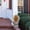 A, variant on Garloy Artificial Flower Stake Outdoor Decor Artificial Flowers with Stakes Artificial Outdoor Flowers with Stake Outdoor Faux Flowers for Garden Yard Porch Decor Artificial Flowers on Stakes
