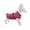 Red, variant on Dog Cooling Vest Lightweight Jacket for Dogs Easy On Off Cooling Coat for Walks Travel Outdoors UV Protection Shirt for Beach Sizing for Small Medium and Large Dogs