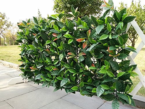 RAUVOLFIA Pack of 6 Artificial Boxwood Panels Topiary Hedge Plant Privacy Screen Outdoor Indoor Use Garden Fence Backyard Backdrop Home Decor Greenery Walls 16 x 24 inch