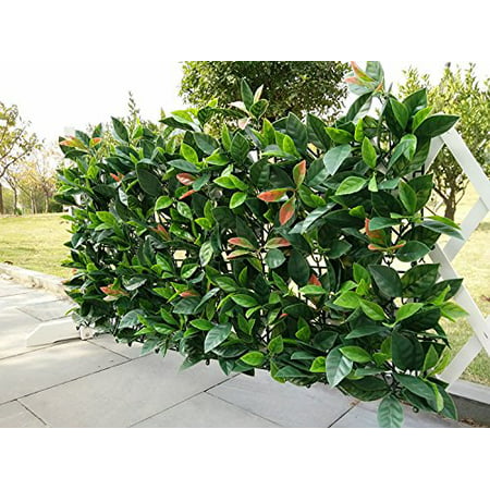 e-joy 24 Piece Artificial Topiary Hedge Plant Privacy Fence Screen Greenery Panels Suitable for Both Outdoor or Indoor, Garden or Backyard and Home Decorations, European Laurel, 20'' L x 20'' H