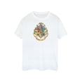 thumbnail image 1 of Harry Potter Mens Hogwarts Cotton T-Shirt, 1 of 5