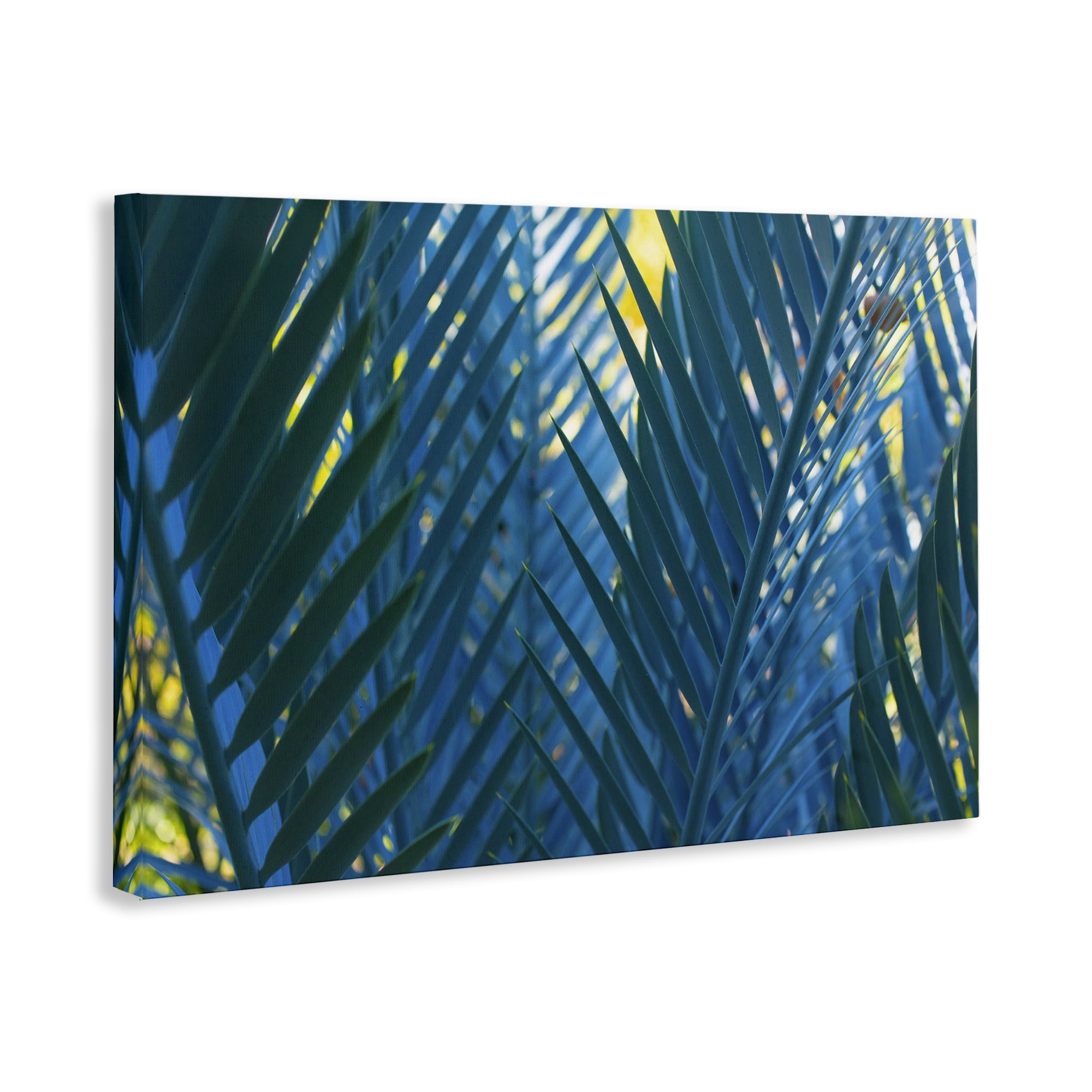 Stupell Industries Blue Palm Fronds Plants & Flowers Photography Wrapped Canvas Art Print Wall Art, 36 x 24