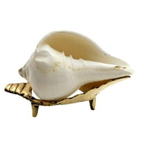 Natural Vamavarti shankh Conch Shell White with brass stand for pooja @ 3 inch By Indian Collectible