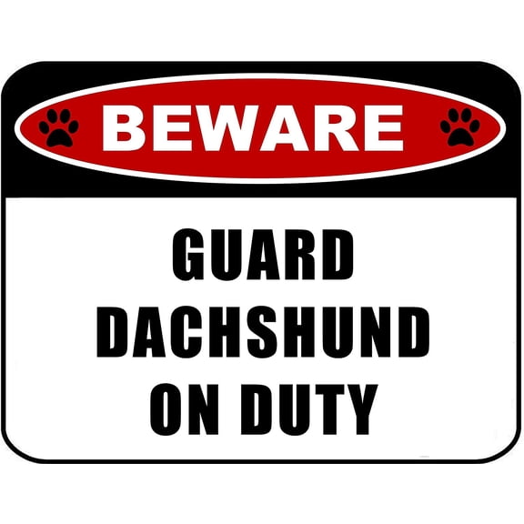 Beware Guard Dachshund (v2) on Duty 11.5 inch x 9 inch Laminated Dog Sign