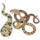 thumbnail image 3 of KAKOWELY 3 piezas de modelo de serpiente simulada, accesorios de serpiente realistas, modelos de serpiente pequeños realistas, 3 of 5