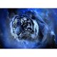thumbnail image 1 of Cuadros Decorativos (DF3650) 5D DIY taladro completo diamante pintura tigre bordado mosaico Craft Kit (W590) 20X30cm Likrtyny embutido en tela, 1 of 1
