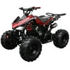 Coolster 125cc ATV 3125C-2