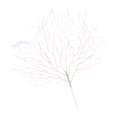 thumbnail image 2 of 2 Uds., Rama de Planta Seca Artificial, Floristería de , Decoración, Planta de Escritorio perfke Árbol artificial seco falso, 2 of 7