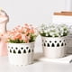 thumbnail image 5 of CaiYueKe Plastic Hollowed Out Flower Basket Decorative Planter Pot for Home Garden Floral Arrangements Indoor Outdoor Decor Roman Style Hanging Basket, 5 of 8