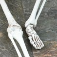 thumbnail image 2 of Accesorios Esqueleto Espeluznante Cuerpo Casa Encantada, 2 of 9