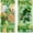 C, variant on Pumpkin Candle,Fall & Halloween Themed Absorbent Towel Set with Pumpkin, Ghost & Plaid Patterns, Multi - Design Options & Soft Fabric, Kitchen & Bathroom Decor Essential