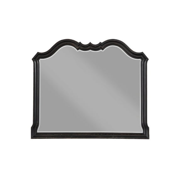 Acme Furniture Chelmsford Mirror, Black Antique Finish