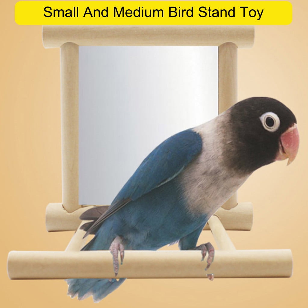 cockatoo bird toys