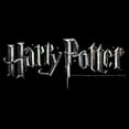 thumbnail image 2 of Men's Harry Potter Metallic Logo Graphic T-Shirt, 2 of 5