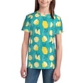thumbnail image 3 of Wukai Lemon Blue Youth Unisex Short Sleeve T-Shirt for Boys, Girls, Teens, and Kids-X-Small, 3 of 7