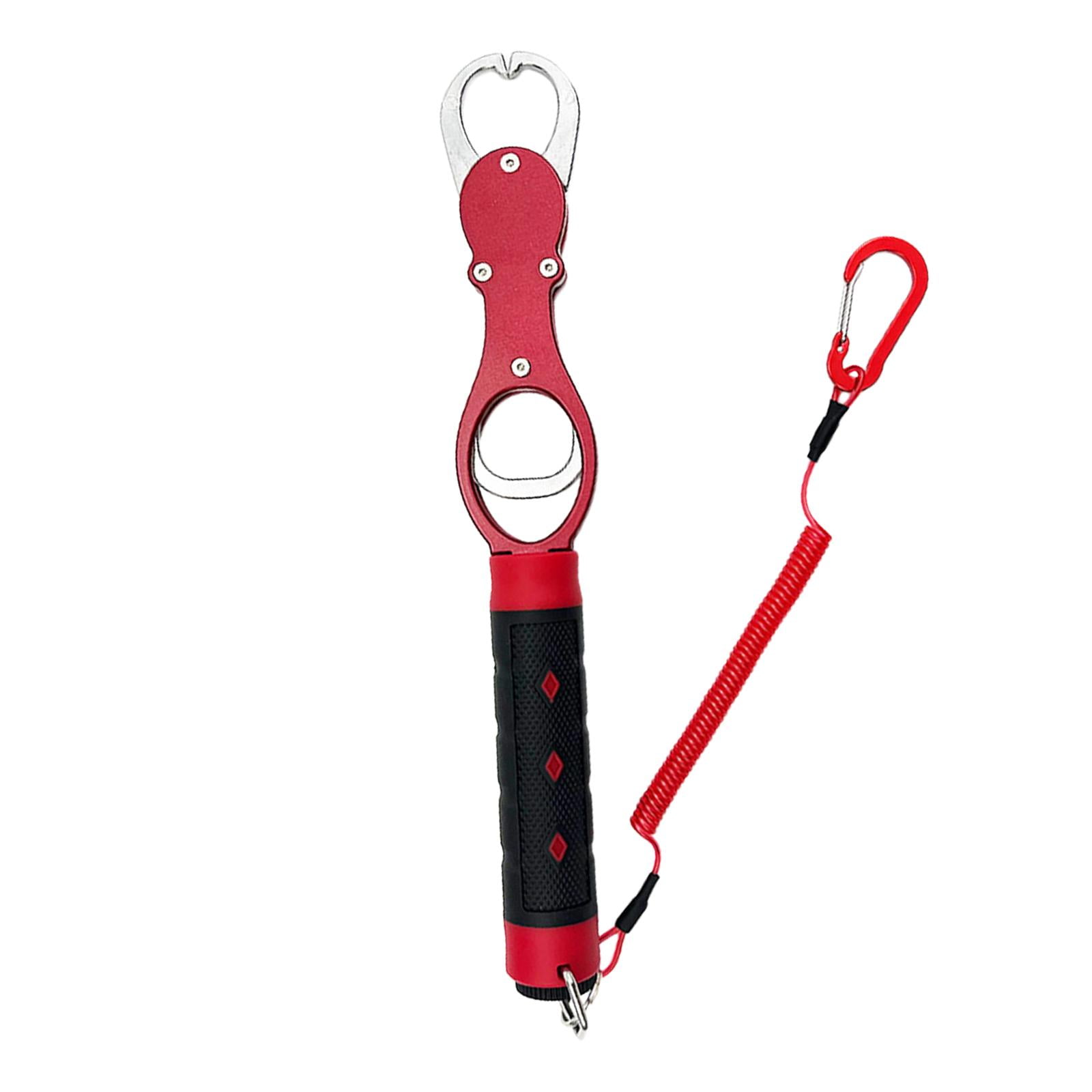 Night Cat Fish Lip Gripper with Scale 2 in 1 Aluminum Alloy Fish Lip Grabber  Professional Fishing Lip Gripper Tool Kit for Men : : Sports &  Outdoors