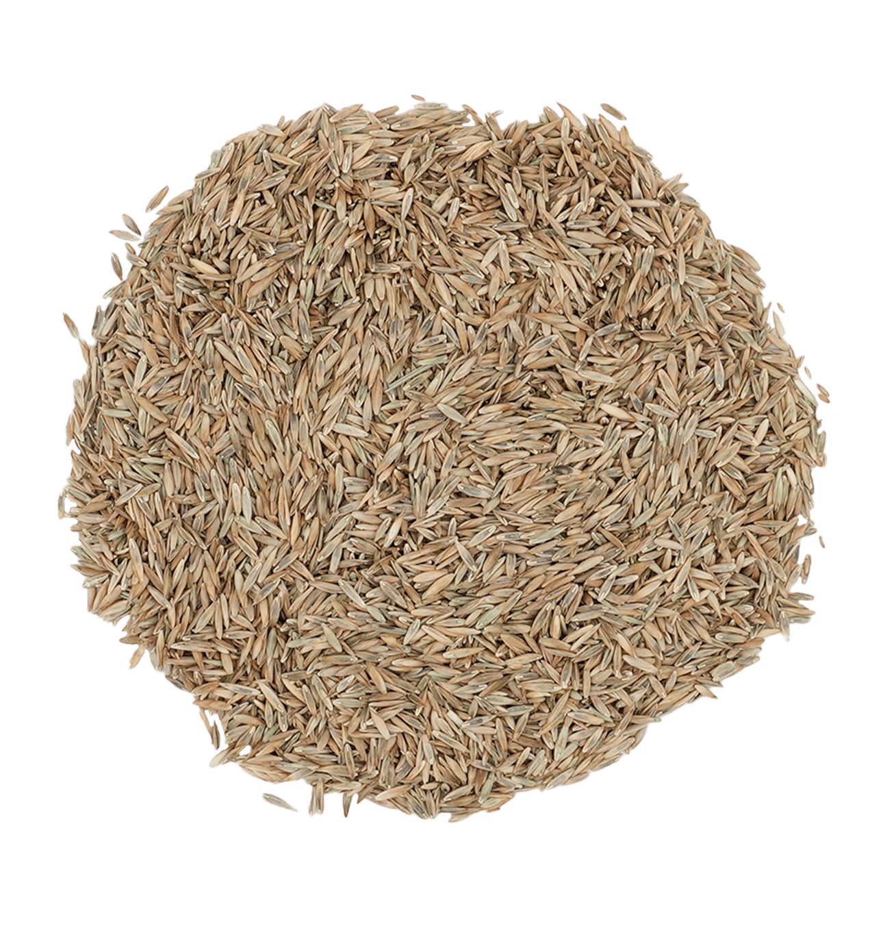 The Andersons Drought Defy - Elite Cool-Season Grass Seed Mix - 25 lbs.