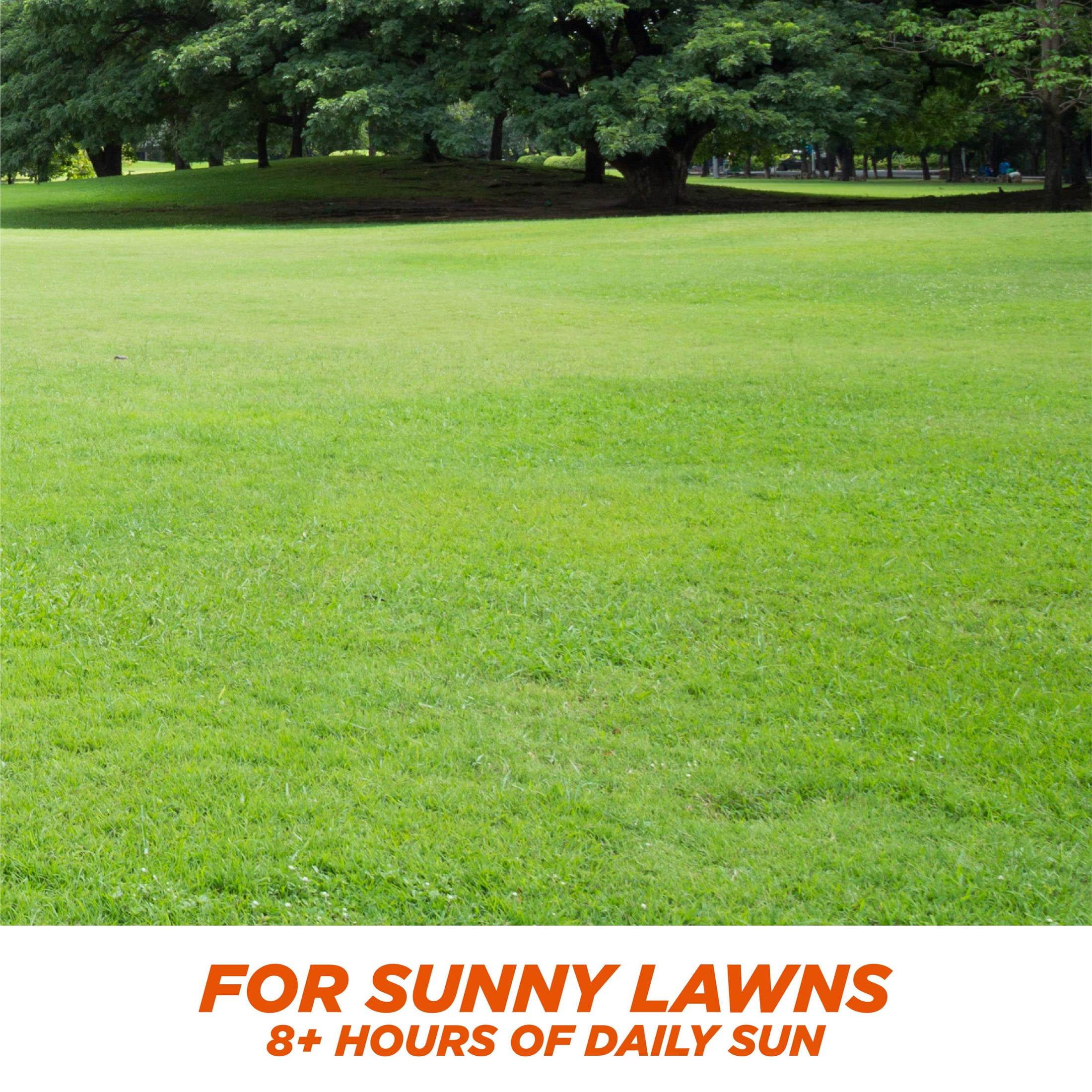 Pennington One Step Complete Bermuda Grass Seed Patch and Repair Mix, for Full Sun, 5 lb