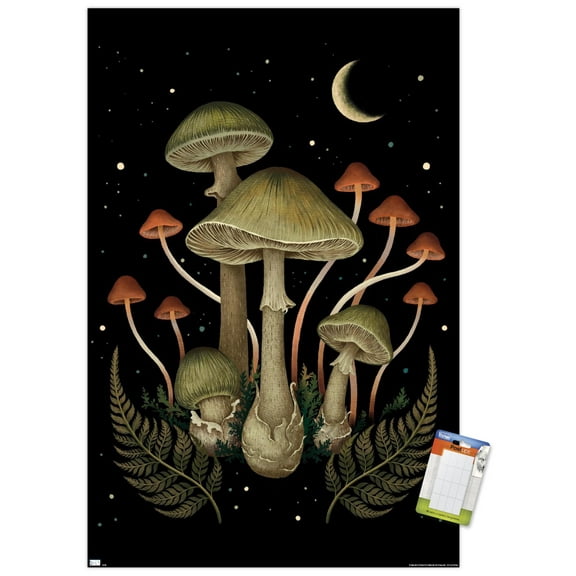 Episodic Drawing - Death Cap Wall Poster, 22.375" x 34"