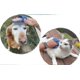 thumbnail image 4 of Cepillo de mano con punta de goma para mascotas, cepillo de aseo para perros con muda, cepillos para perros grandes, 4 of 5